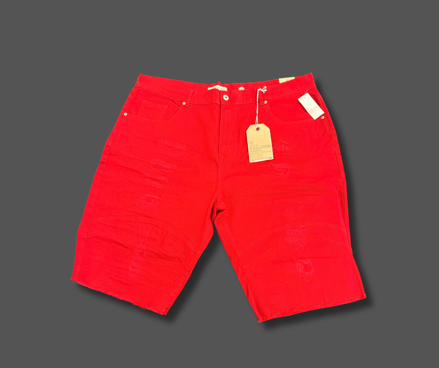 Plus Size Denim Shorts