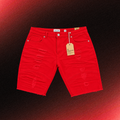 Plus Size Denim Shorts