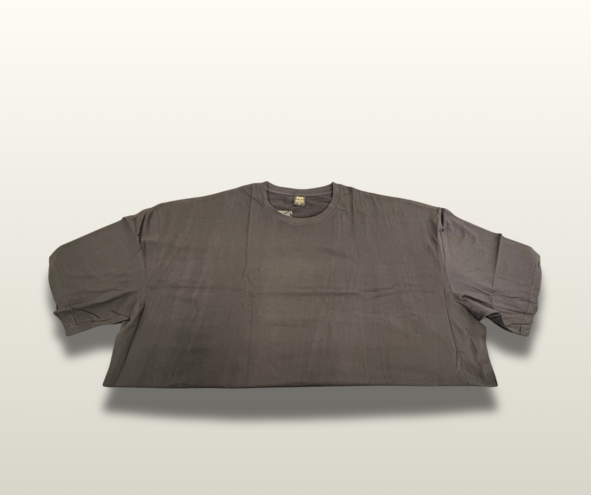 Plus Size Plain T-Shirts