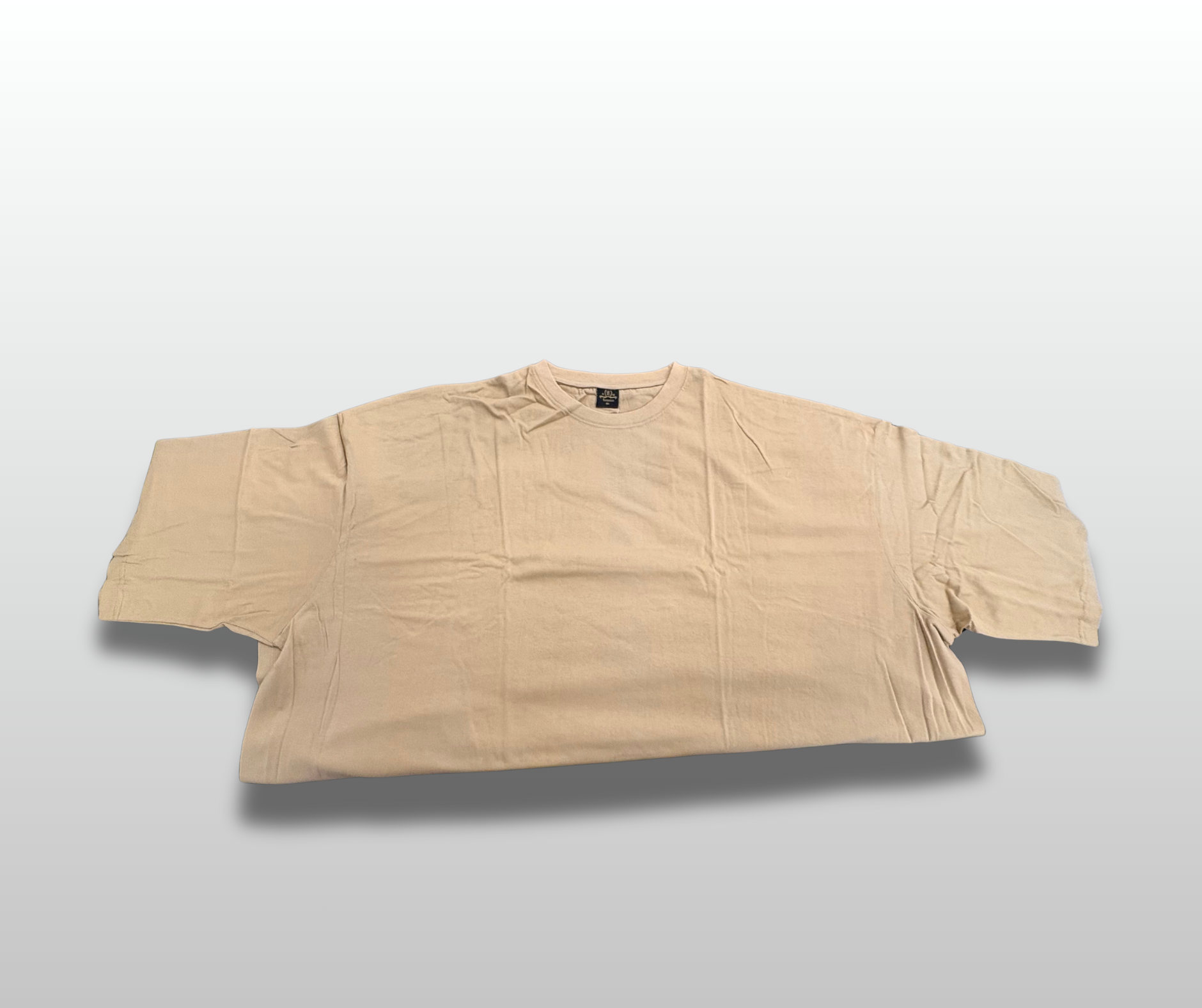 Plus Size Plain T-Shirts