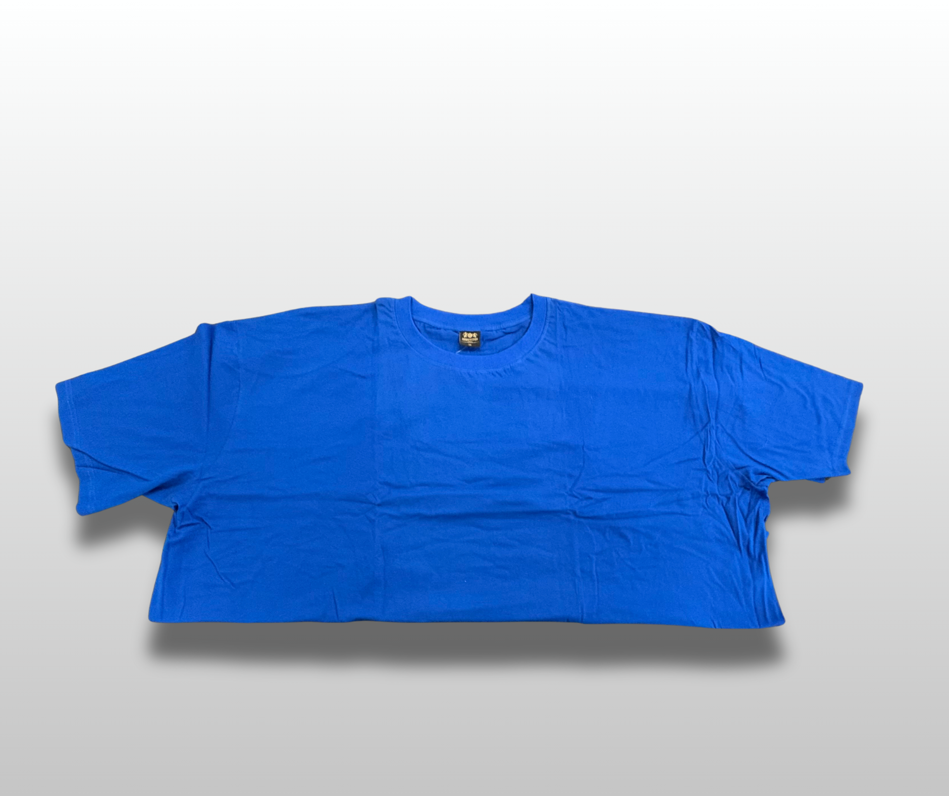 Plus Size Plain T-Shirts